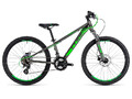 Rower Cube Kid 240 Disc grey n flashgreen 2018 (0).jpg