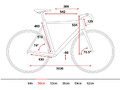 Geometria Travel 50cm.jpg