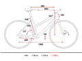 Geometria Touring Trapeze 54cm.jpg