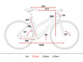 Geometria Sl Road Trapeze 47cm.jpg