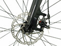 lombardelite008.jpg