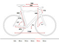 Geometria Travel 58cm.jpg