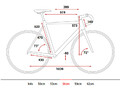 Geometria Travel 56cm.jpg